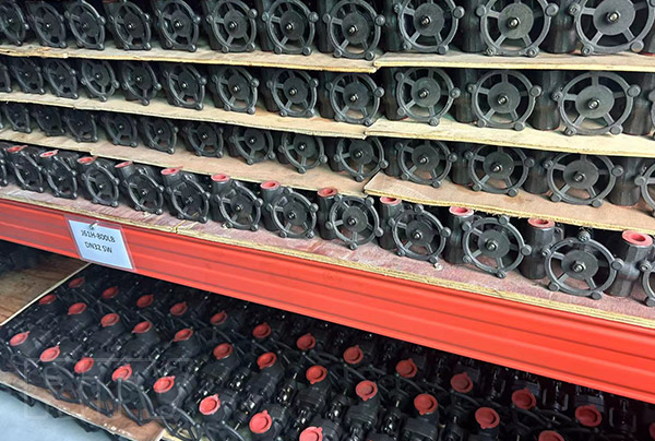 實（shí）拍展示